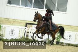 24BUCK_10929 thumbnail