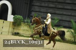 24BUCK_10931 thumbnail