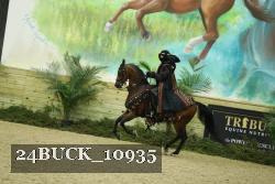 24BUCK_10935 thumbnail