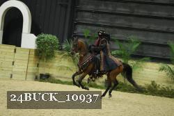 24BUCK_10937 thumbnail