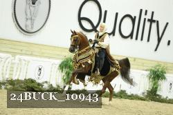 24BUCK_10943 thumbnail