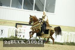 24BUCK_10944 thumbnail