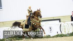 24BUCK_10952 thumbnail