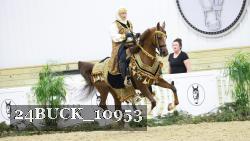 24BUCK_10953 thumbnail