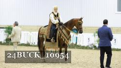 24BUCK_10954 thumbnail