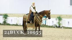 24BUCK_10955 thumbnail