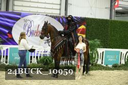 24BUCK_10959 thumbnail
