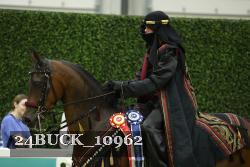24BUCK_10962 thumbnail
