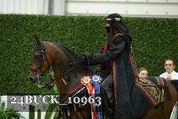 24BUCK_10963 thumbnail