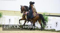 24BUCK_10964 thumbnail