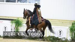 24BUCK_10965 thumbnail