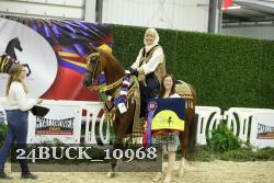 24BUCK_10968 thumbnail