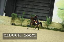 24BUCK_10971 thumbnail