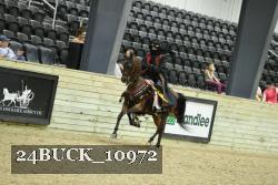 24BUCK_10972 thumbnail