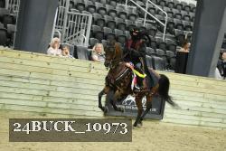 24BUCK_10973 thumbnail