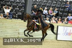 24BUCK_10978 thumbnail