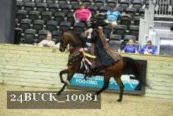 24BUCK_10981 thumbnail