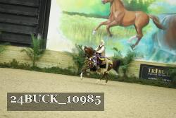 24BUCK_10985 thumbnail