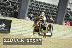 24BUCK_10987 thumbnail