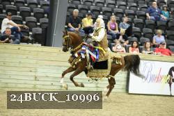 24BUCK_10996 thumbnail