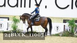 24BUCK_11005 thumbnail