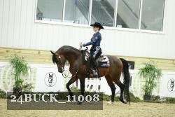 24BUCK_11008 thumbnail