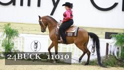 24BUCK_11010 thumbnail