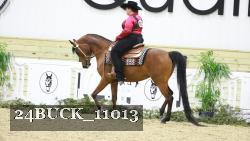 24BUCK_11013 thumbnail