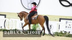 24BUCK_11014 thumbnail