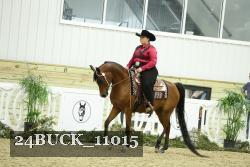 24BUCK_11015 thumbnail