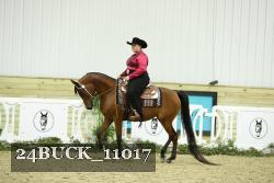 24BUCK_11017 thumbnail