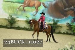 24BUCK_11027 thumbnail