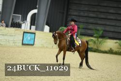 24BUCK_11029 thumbnail