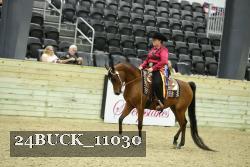 24BUCK_11030 thumbnail