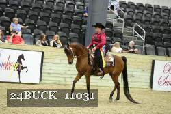 24BUCK_11031 thumbnail