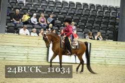 24BUCK_11034 thumbnail