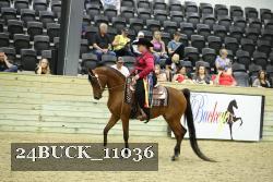 24BUCK_11036 thumbnail