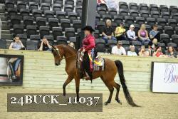 24BUCK_11037 thumbnail