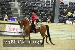 24BUCK_11038 thumbnail