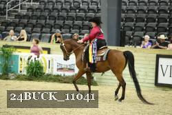 24BUCK_11041 thumbnail