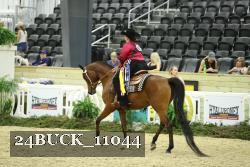 24BUCK_11044 thumbnail