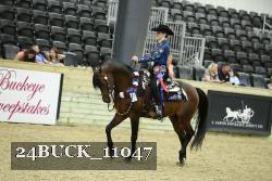 24BUCK_11047 thumbnail