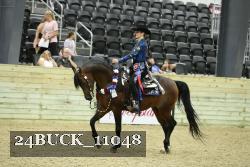 24BUCK_11048 thumbnail