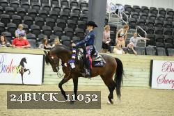 24BUCK_11052 thumbnail