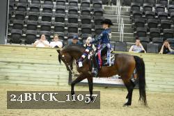 24BUCK_11057 thumbnail