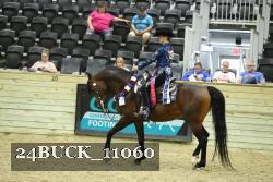 24BUCK_11060 thumbnail