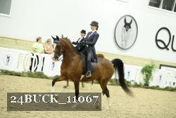 24BUCK_11067 thumbnail