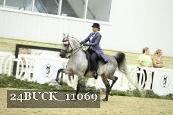 24BUCK_11069 thumbnail