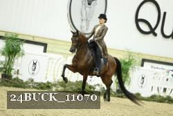 24BUCK_11070 thumbnail