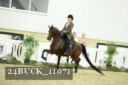 24BUCK_11071 thumbnail